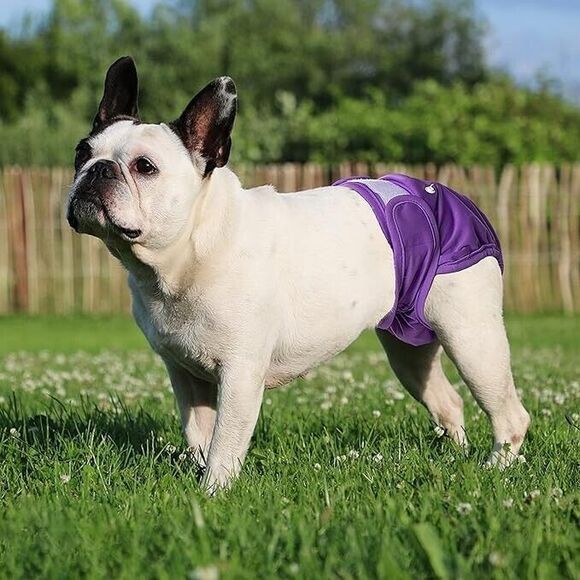 Premium Washable Dog Diapers Female, Reusable Diapers for Doggie in Heat, Highly - Picture 7 of 7